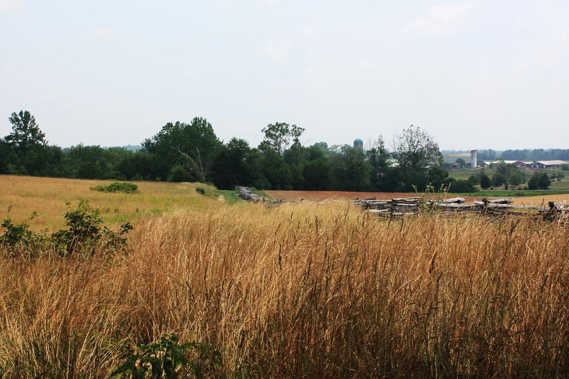 This is a landscape image of the Cedar Mountain battlefield. 