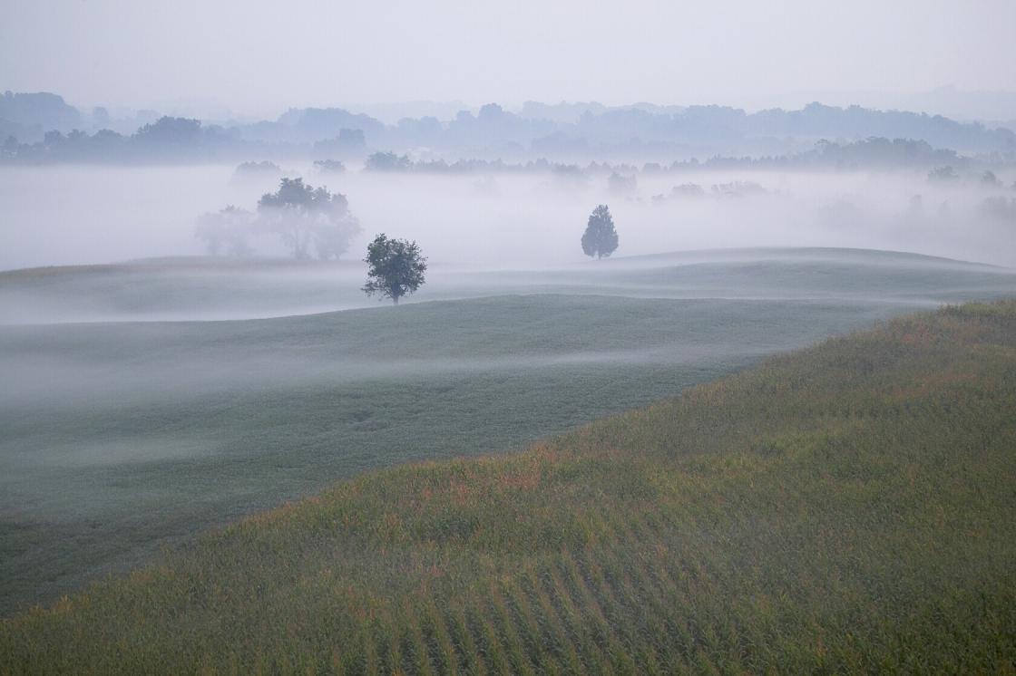 Image of fog covering the rolling hills at Antietam