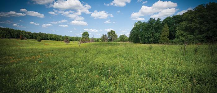 Spotsylvania