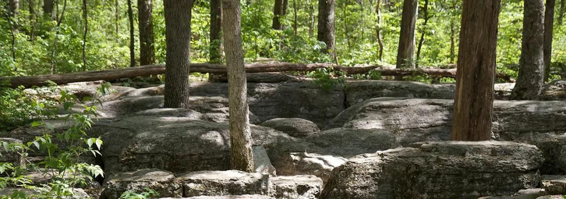 This is a photograph of the rocks at Stones River battlefield.
