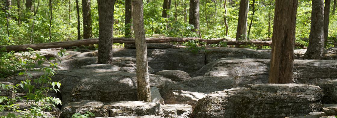 This is a photograph of the rocks at Stones River battlefield. 