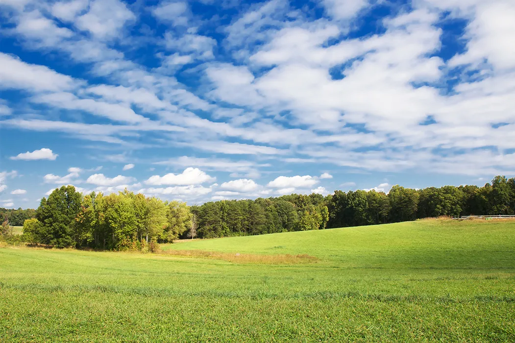 This is a colorful photograph depicting the landscape of the Wagner Tract.