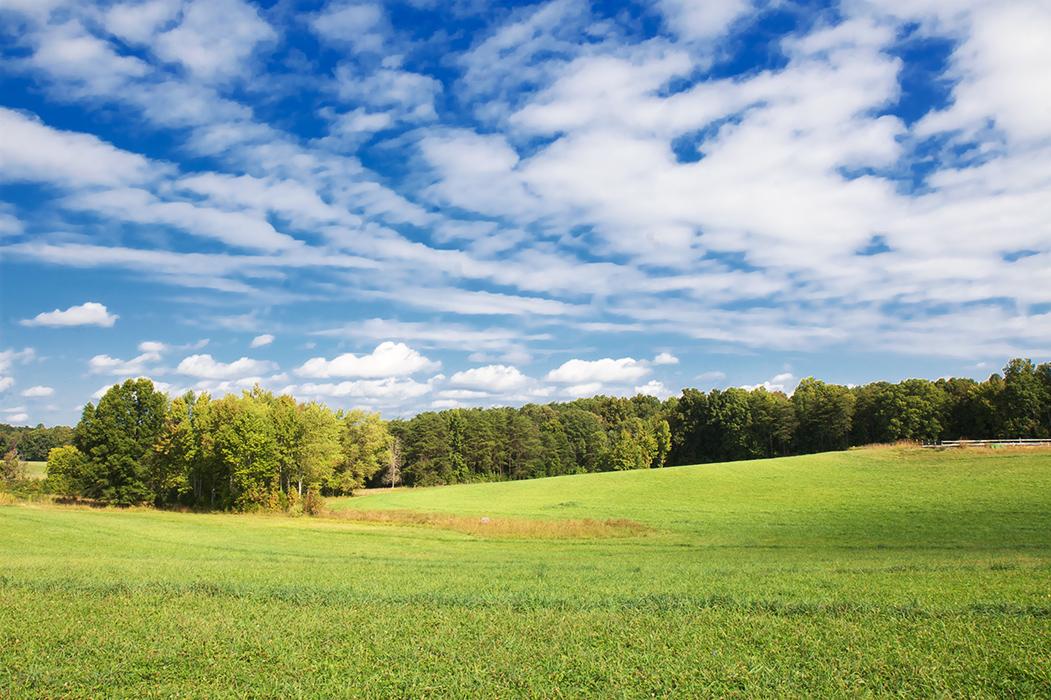 This is a colorful photograph depicting the landscape of the Wagner Tract. 