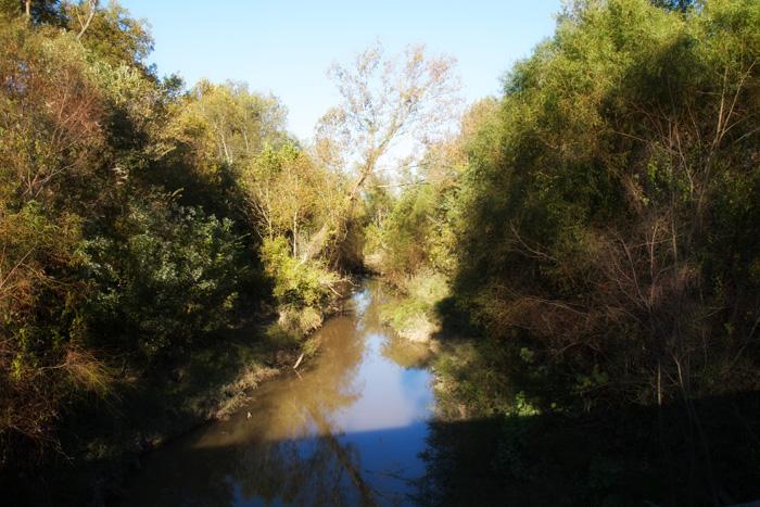 Baker's Creek Lower full width