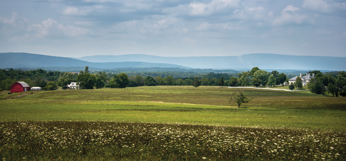 Belle Grove