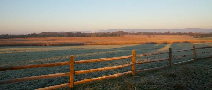 cedar creek 700
