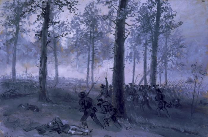 This is an image of Confederate troops advancing through the woods. 