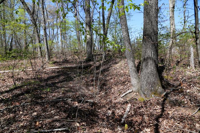 Flanking Trench at Pine Knob