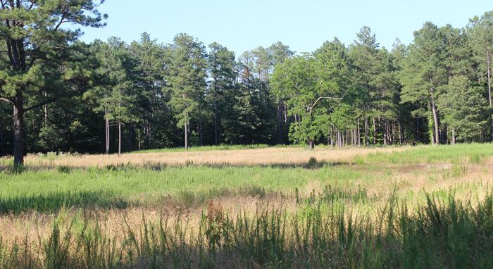 Gaines' Mill - 5th New York Battlefield