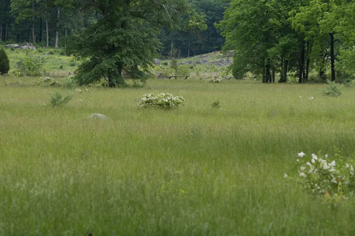 Photograph of the site of Farnworth's Charge