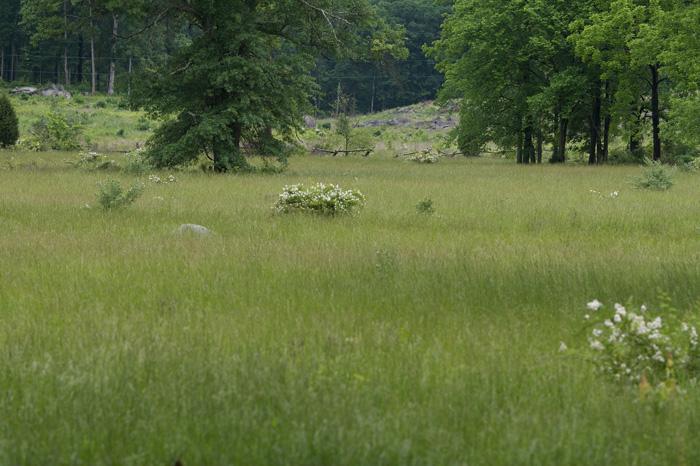 Photograph of the site of Farnworth's Charge