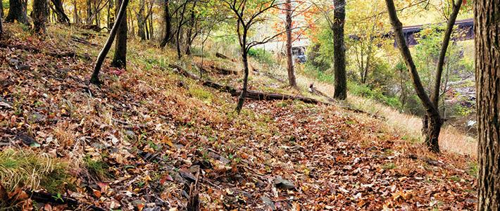 Monocacy Rifle Pits