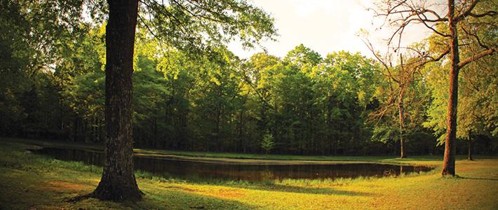 Shiloh National Military Park