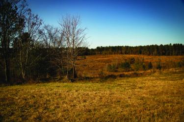 Kettle Creek Battlefield, Wilkes County, Ga.