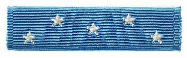 Medal of Honor Ribbon by Shannon Rae