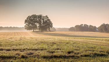 Petersburg Breakthrough Battlefield, Dinwiddie County, Va.