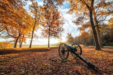 The Wilderness, Spotsylvania and Orange Counties, Va.