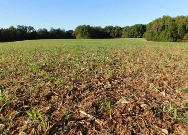 Second Deep Bottom Battlefield, Henrico County, Va.