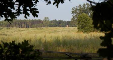 View Towards the Deep Cut from the Gray Tract