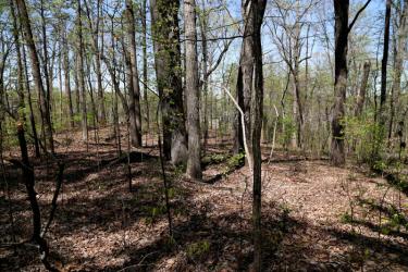 60th New York Trench at Pine Knob