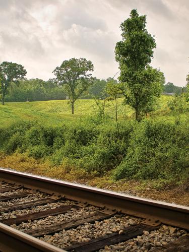 Small portion of railroad tracks in the foreground with bright field and a few tall trees in the background