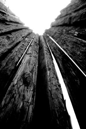 The stockade wall at Andersonville National Historic Site, Ga.