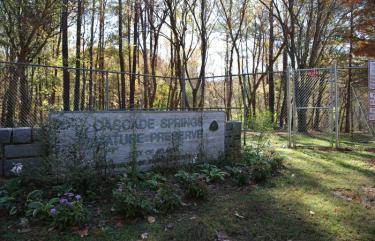 Cascade Springs Nature Preserve (700x)