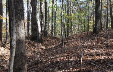 Confederate Rifle Pits (700x)