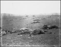 gettysburg dead