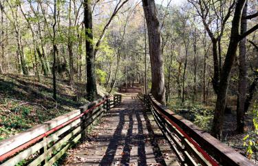 Trails (700x)