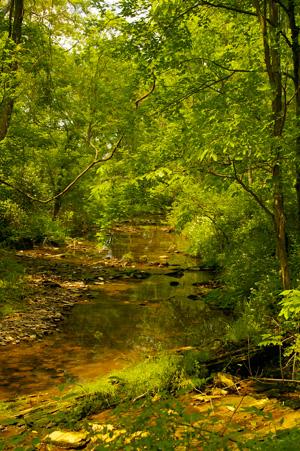 Willoughby's Run at Gettysburg